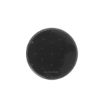 Clear Black