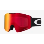 Matte Black/ Prizm Snow Torch Iridium