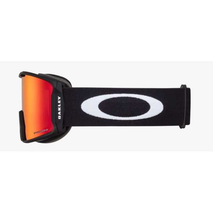 Matte Black/Prizm Snow Torch Iridium