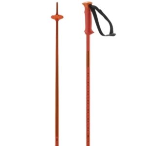 Salomon Polar Ski Poles 2026