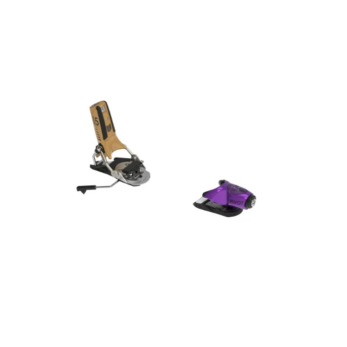 Purple/Gold