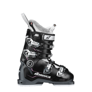 BLACK - ANTHRACITE - PURPLE