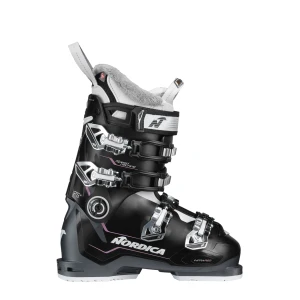 BLACK - ANTHRACITE - PURPLE
