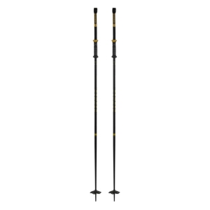 Armada Triad BB Ski Poles 2025