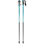 Atomic Redster X Carbon SQS Ski Poles 2026