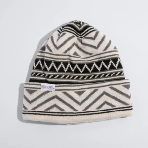 Coal The Weston Beanie 2025