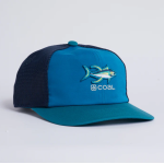 Teal