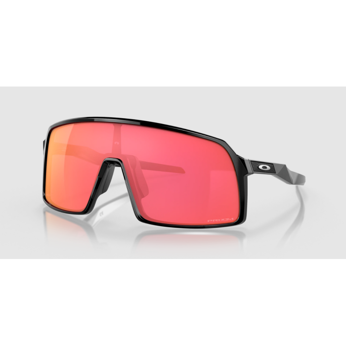 Polished Black/Prizm Torch