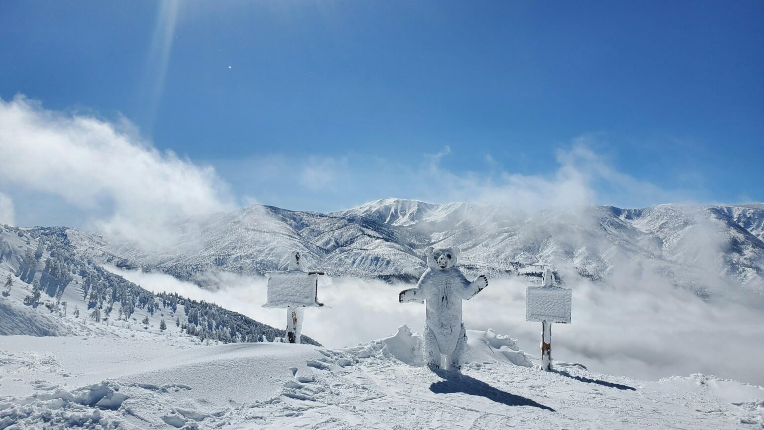 Snow Report & Webcams