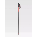 Line Pin Ski Poles 2023