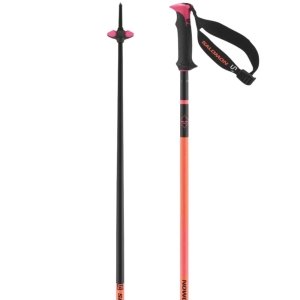 Salomon Polar Pro S3 Ski Poles 2026