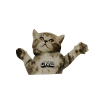 Flying Cat