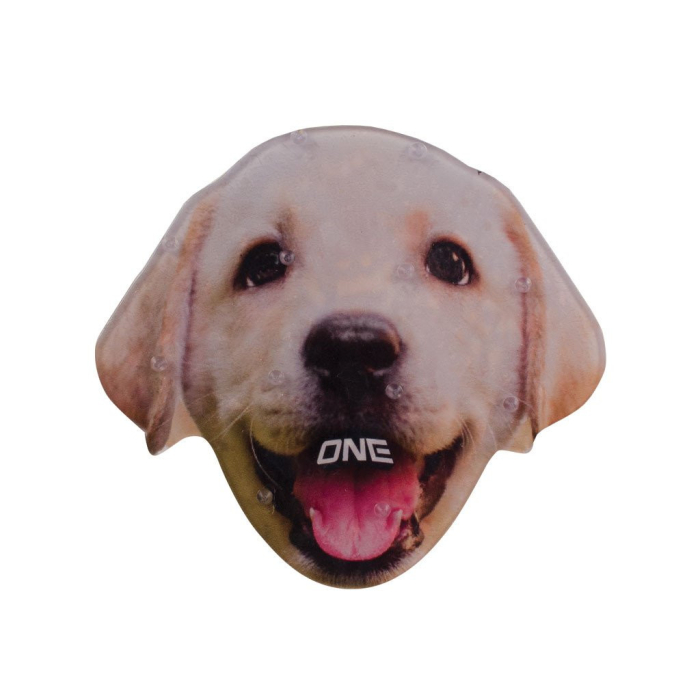 Lab
