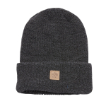 Coal The Walden Beanie 2021