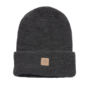 Coal The Walden Beanie 2021