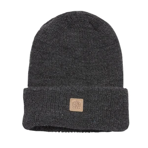 Coal The Walden Beanie 2021