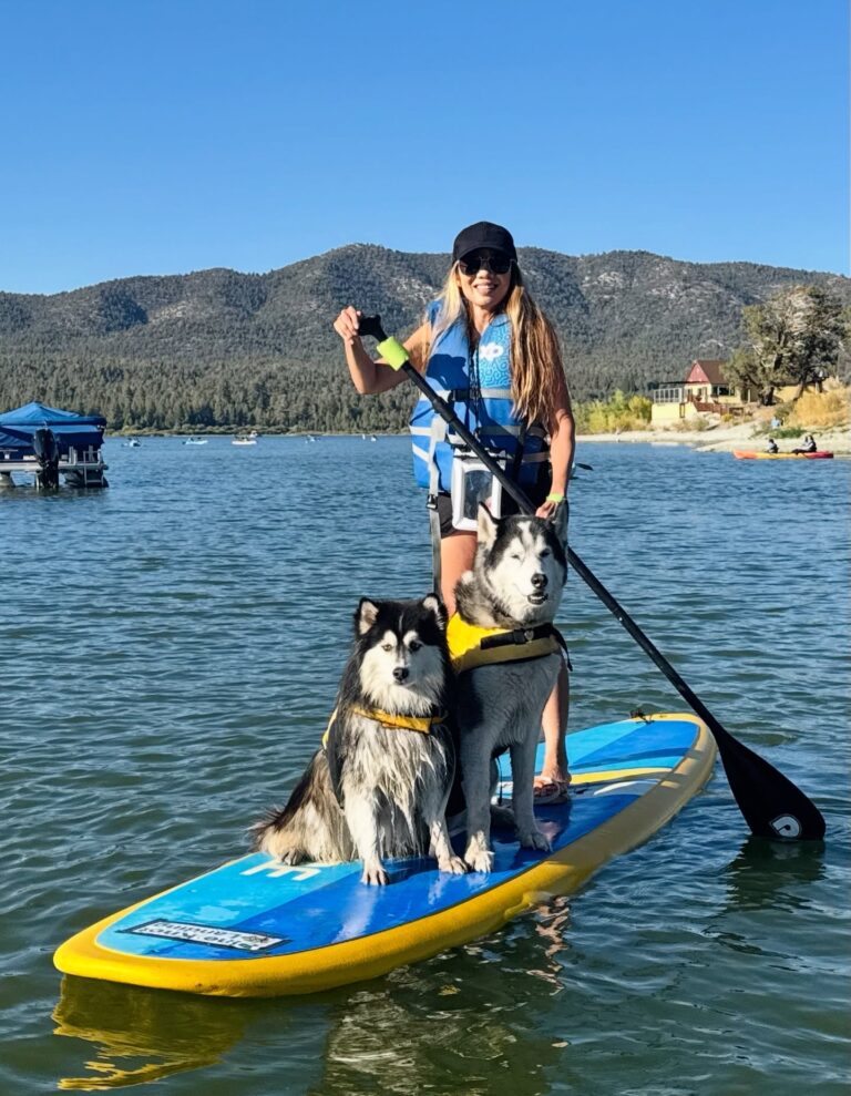 Big Bear Paddle Board Rentals with dogs
