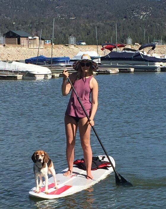 Dog on paddleboard during pet-friendly Big Bear rental