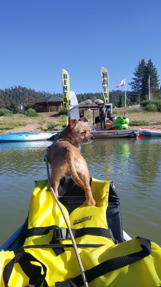 Dog riding on kayak in Big Bear Lake