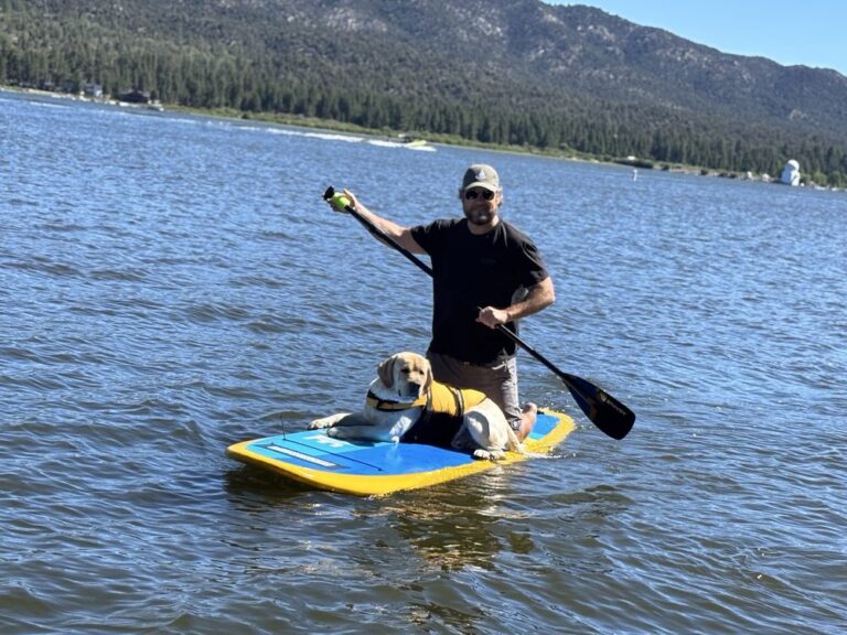 Dog riding with paddleboard rental on Big Bear Lake
