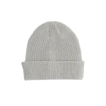 Coal The Bristol Beanie 2026