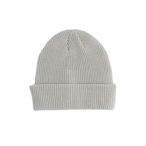 Coal The Bristol Beanie 2026