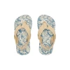 Blue/Tan Palm