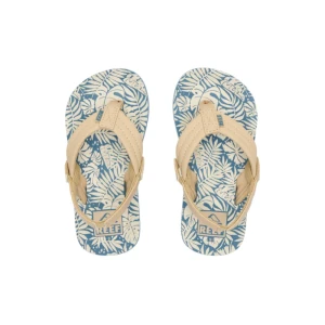 Reef Little Ahi Sandals 2026