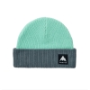 Gotham Gray/Spring Frost